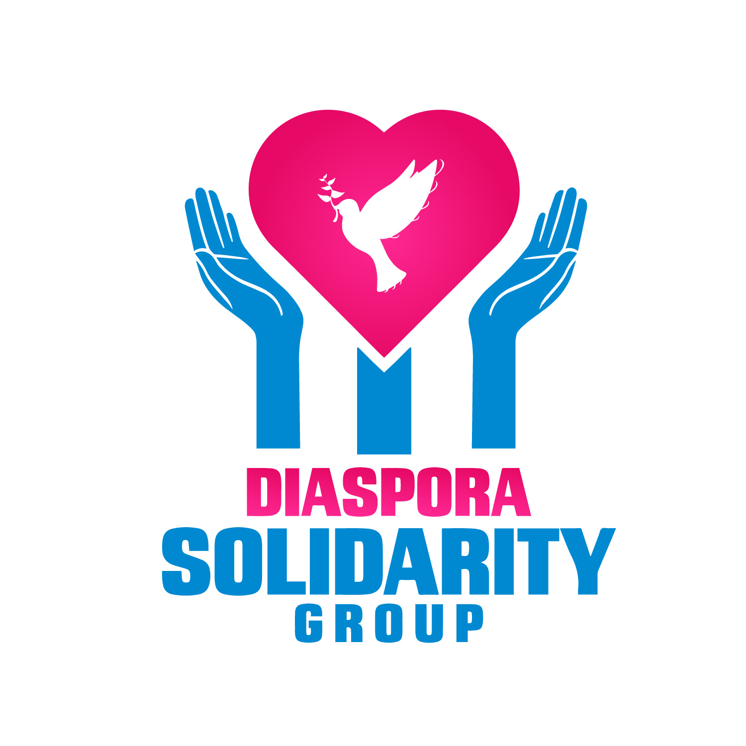 Diaspora Solidarity Group